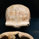 A skull fragment and other fossils found in the cave.
